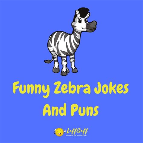 funny zebra pictures|zebra jokes one liners.